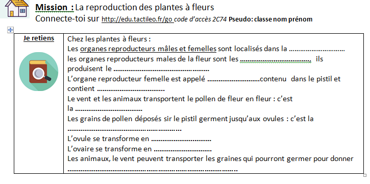 la rencontre des cellules reproductrices chez les plantes a fleurs