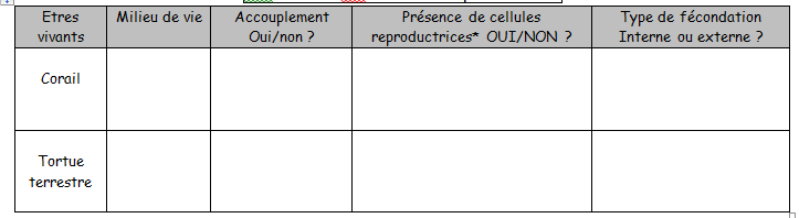 la rencontre des cellules reproductrices