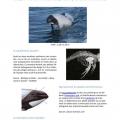 2016_fichdauphin-page-001