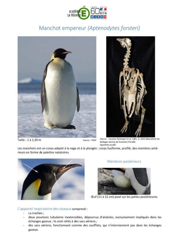 fiche animaux 5e