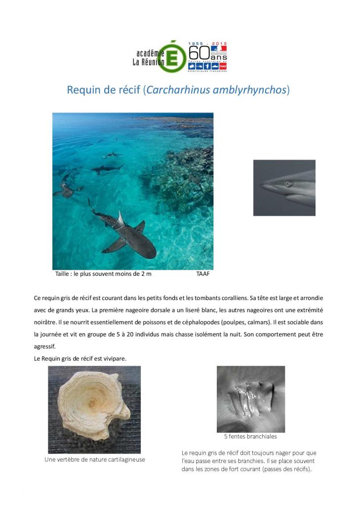 2016_fichrequin-page-001