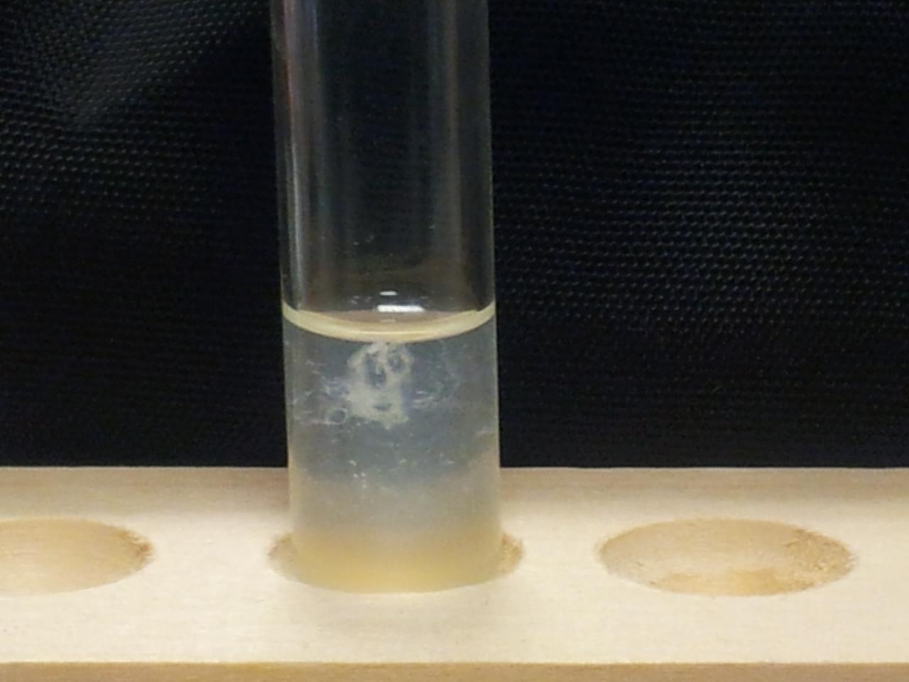 TP filaments ADN d'oignon extrait en classe