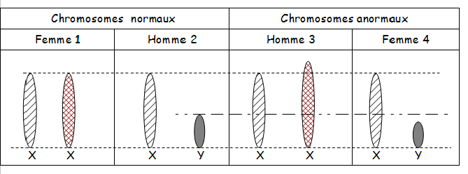 Chromosome sexuel anomalie