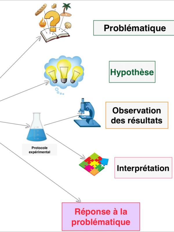 Demarche scientifique