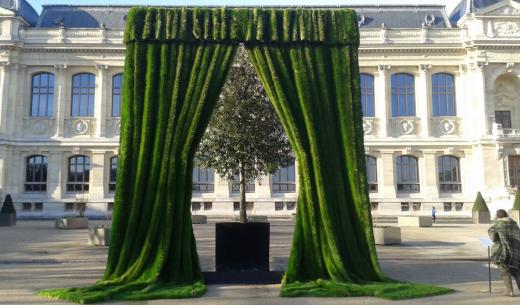 Radical action reaction